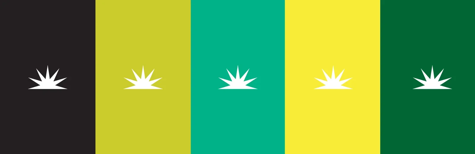 CCIA color palette with the starburst mark reversed across five brand colors